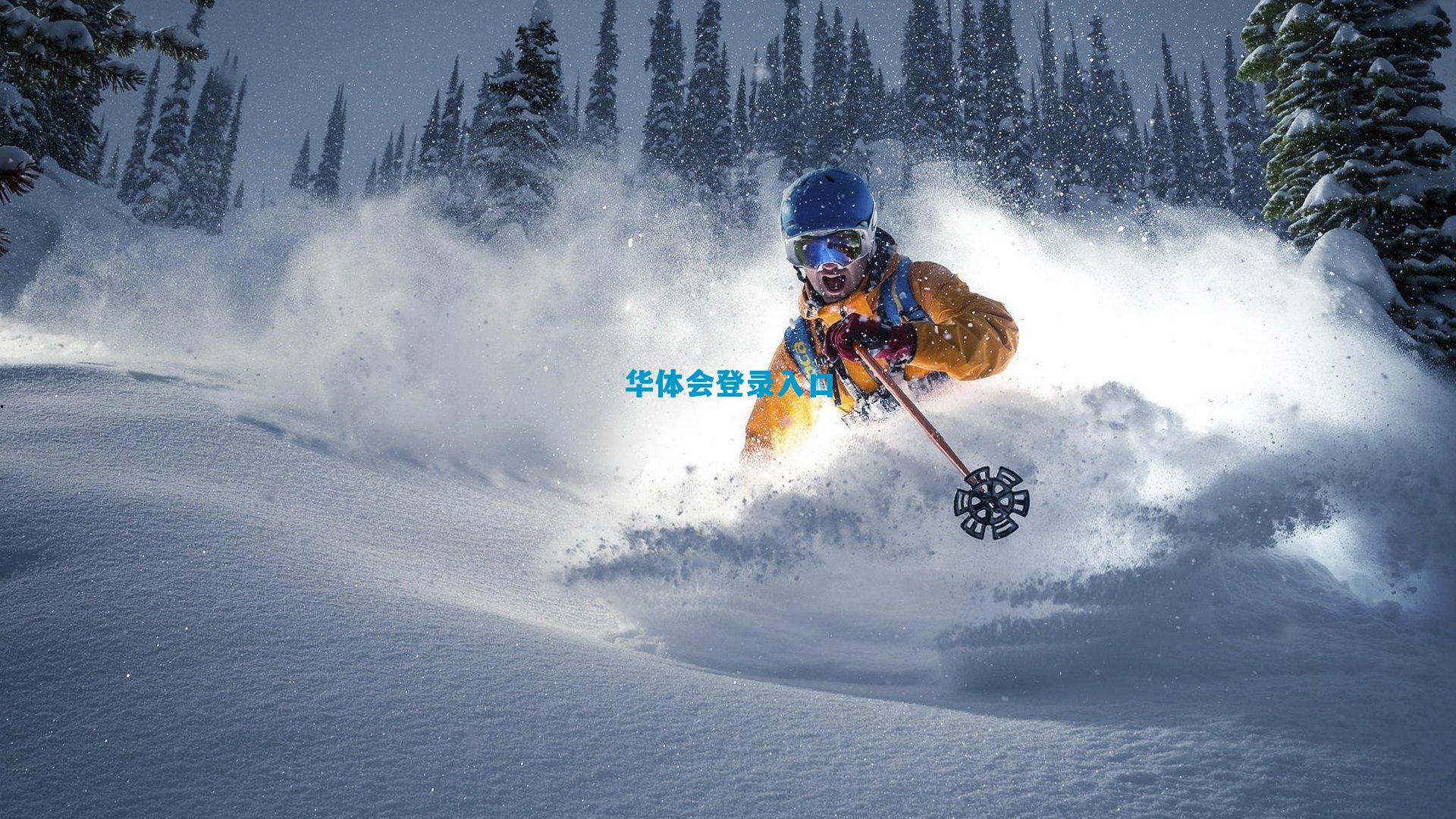 训练突发意外!扎卡尼伤退意大利国家队,亚特兰大新星皮科利紧急入替